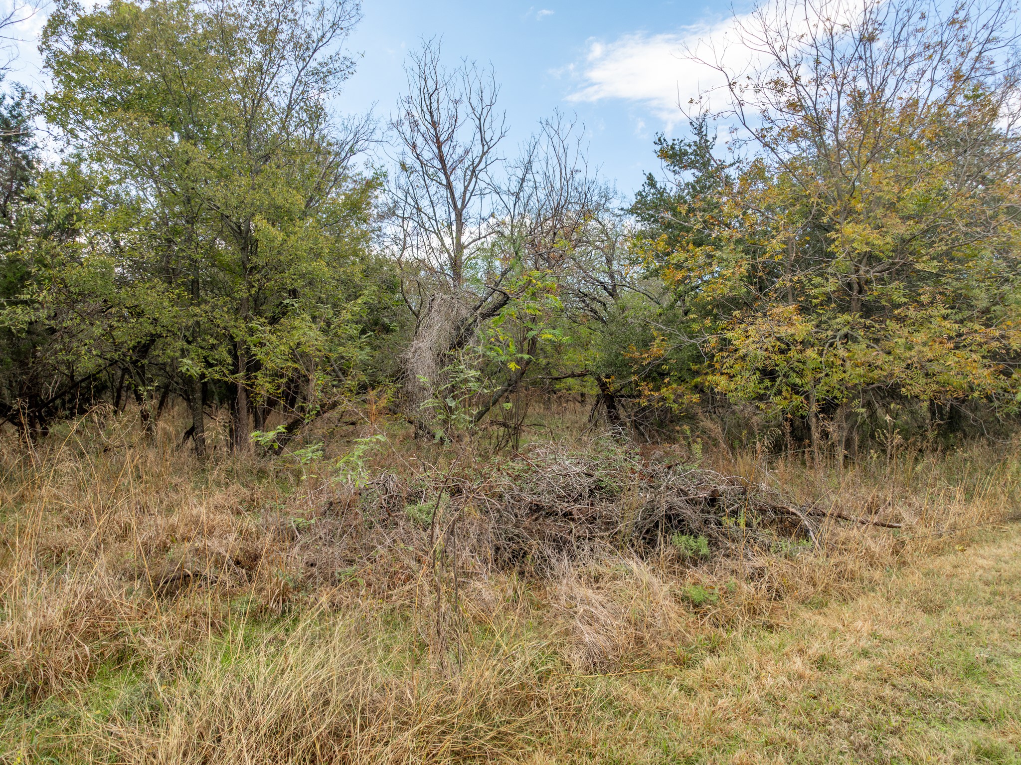 39181 Misty Valley Circle Whitney TX 76692