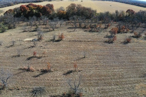 Tbd 452 De Leon TX 76444
