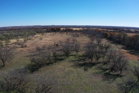 Tbd 452 De Leon TX 76444