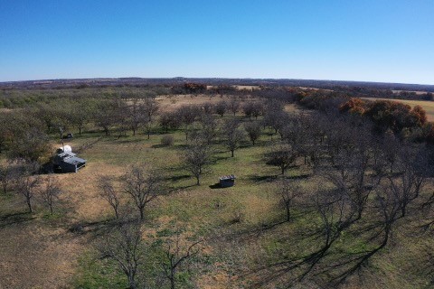 Tbd 452 De Leon TX 76444