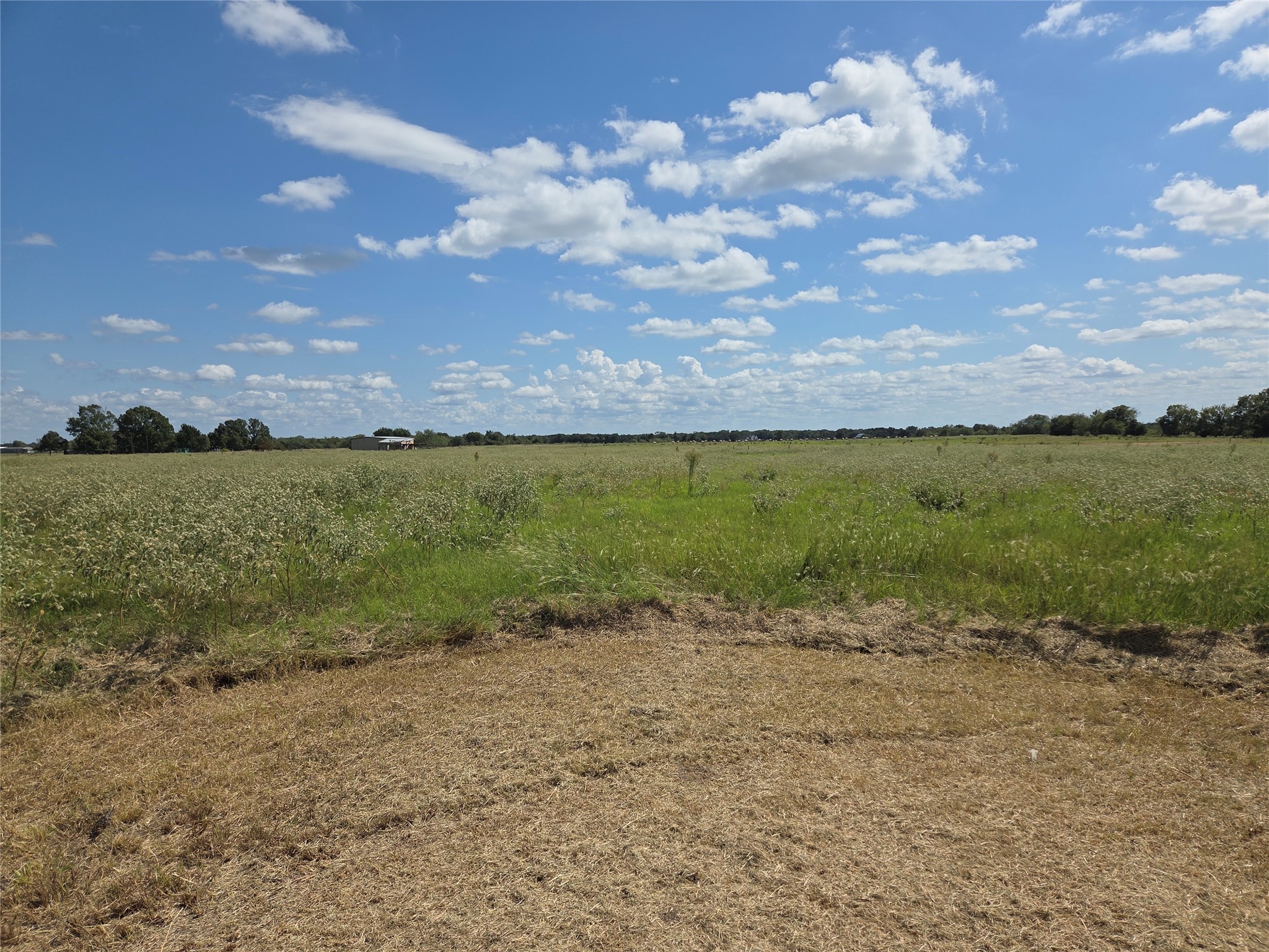 Tbd 20 Acres SE Cr 3150 Corsicana TX 75109