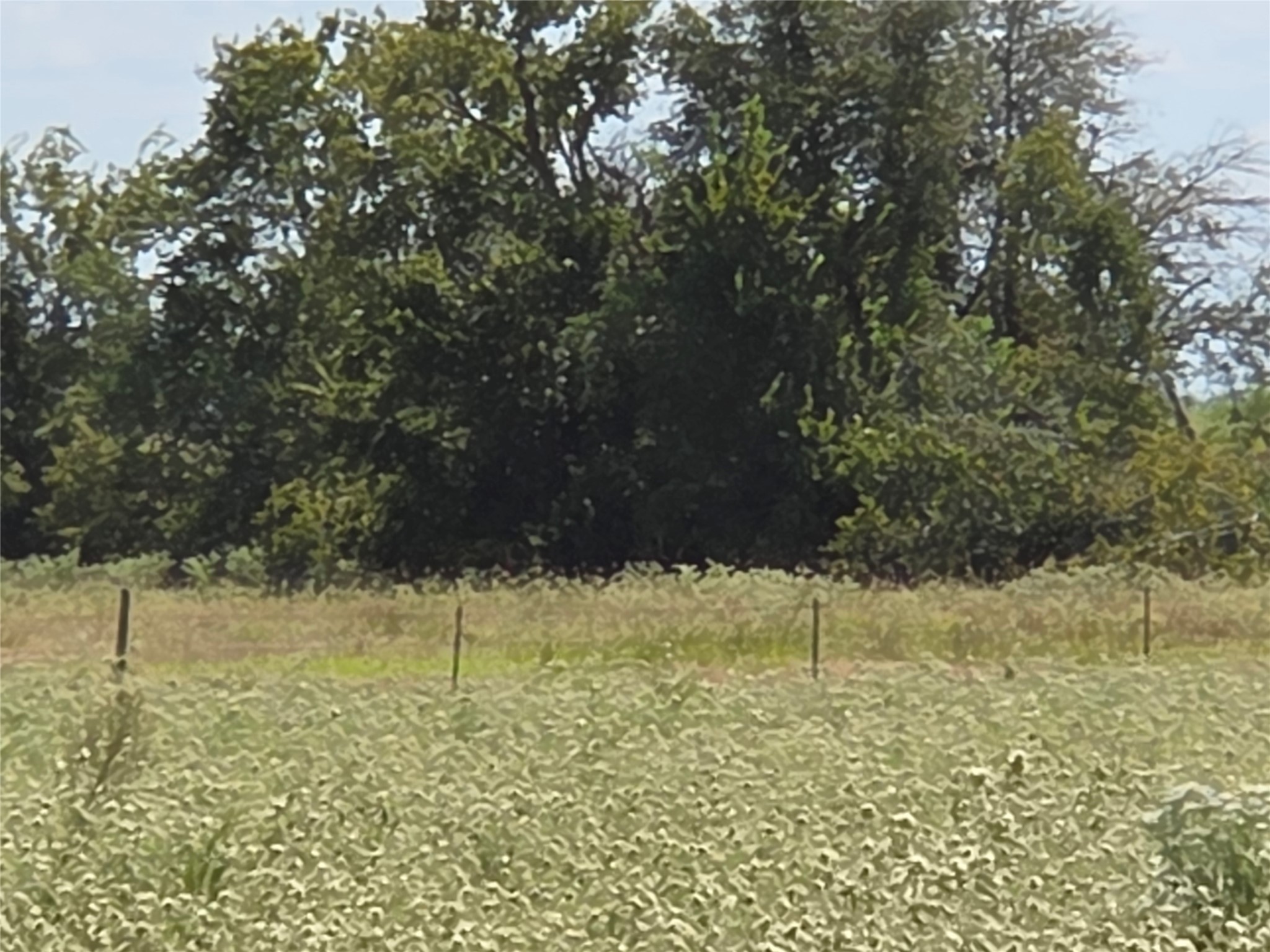 Tbd 20 Acres SE Cr 3150 Corsicana TX 75109