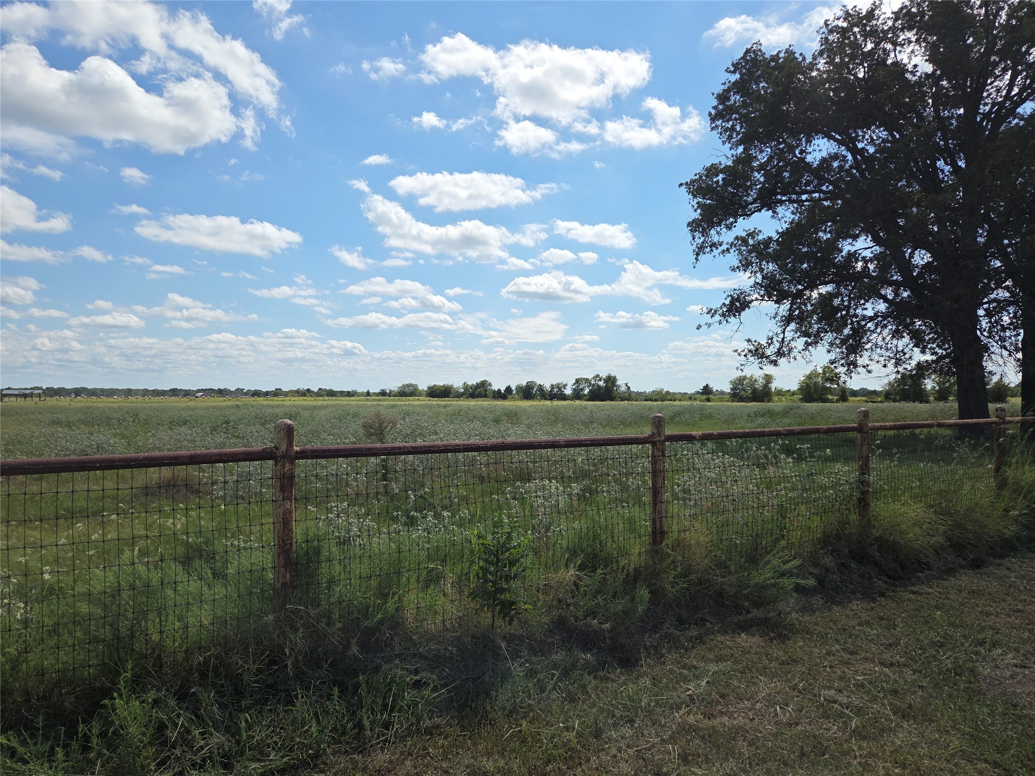 Tbd 20 Acres SE Cr 3150 Corsicana TX 75109