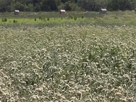 Tbd 20 Acres SE Cr 3150 Corsicana TX 75109