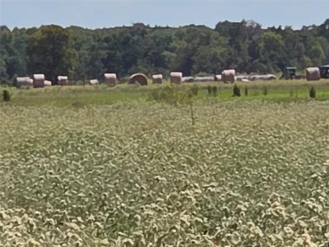 Tbd 20 Acres SE Cr 3150 Corsicana TX 75109