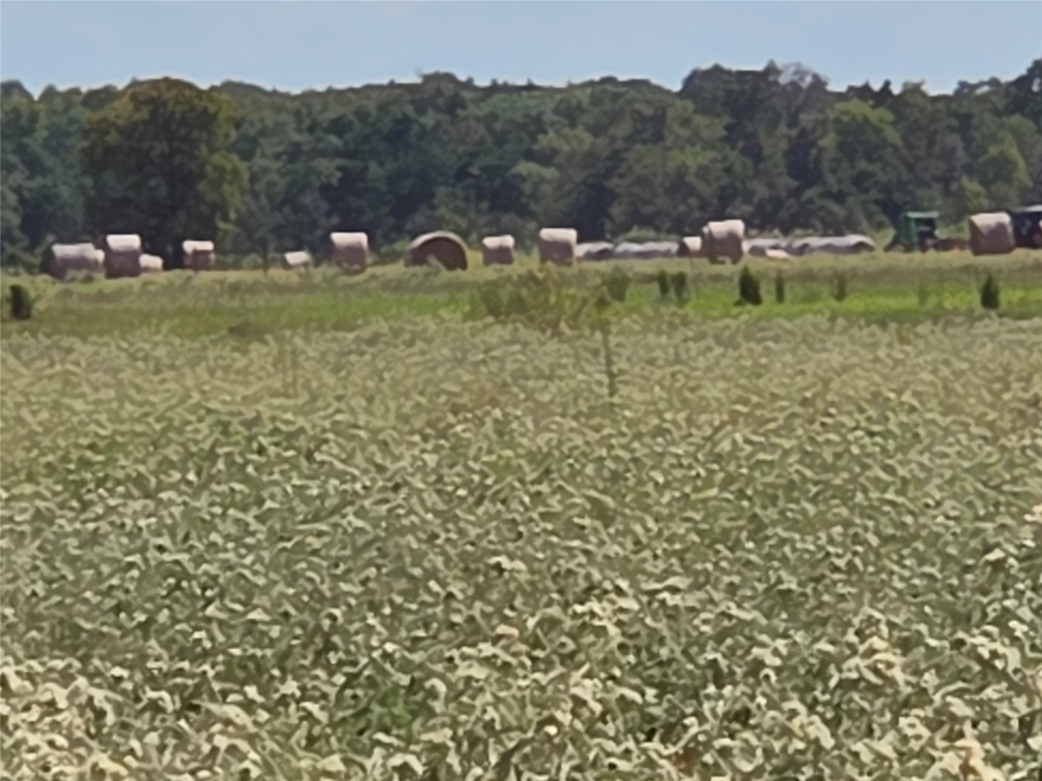 Tbd 20 Acres SE Cr 3150 Corsicana TX 75109