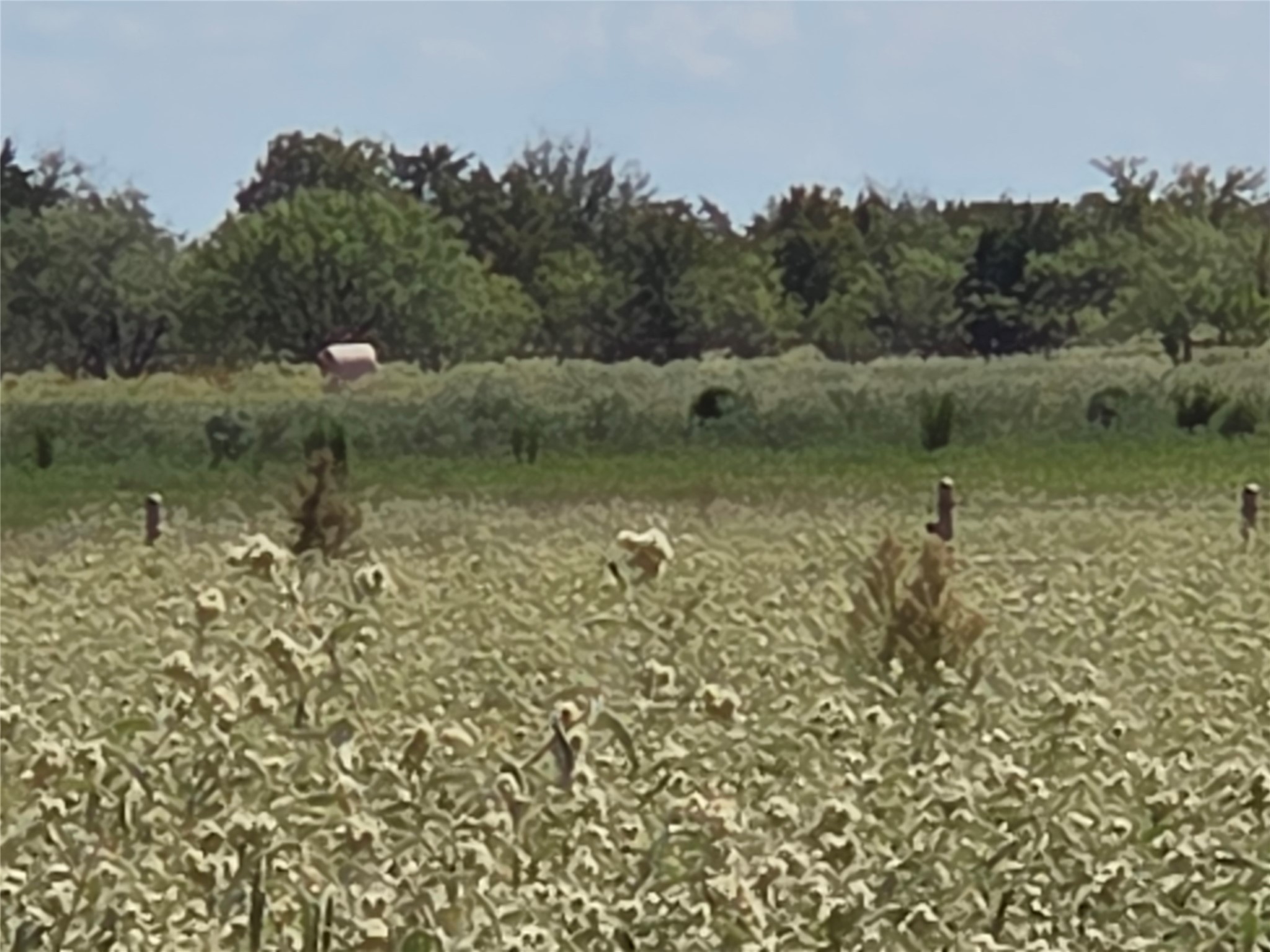 Tbd 20 Acres SE Cr 3150 Corsicana TX 75109