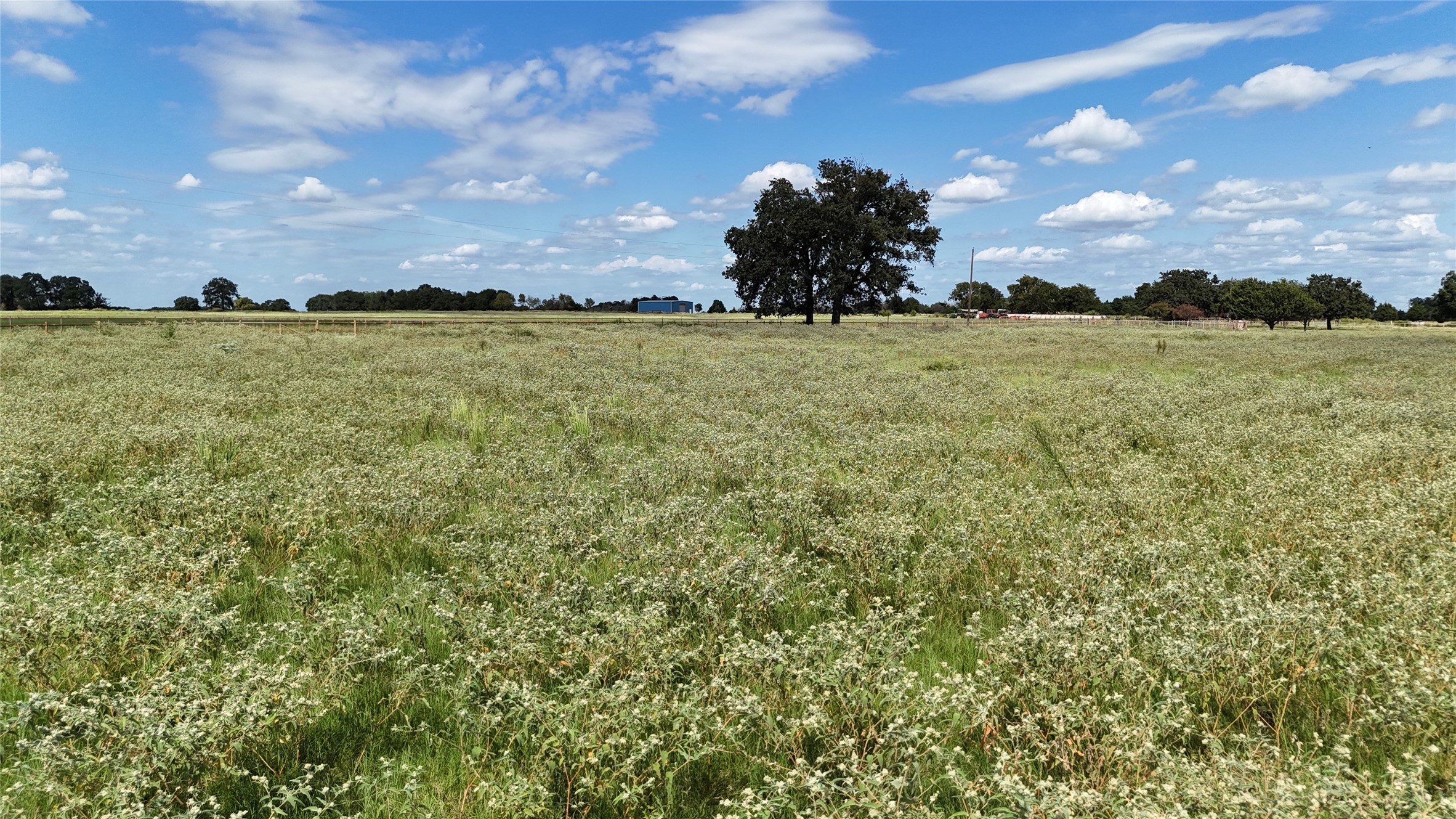 Tbd 20 Acres SE Cr 3150 Corsicana TX 75109
