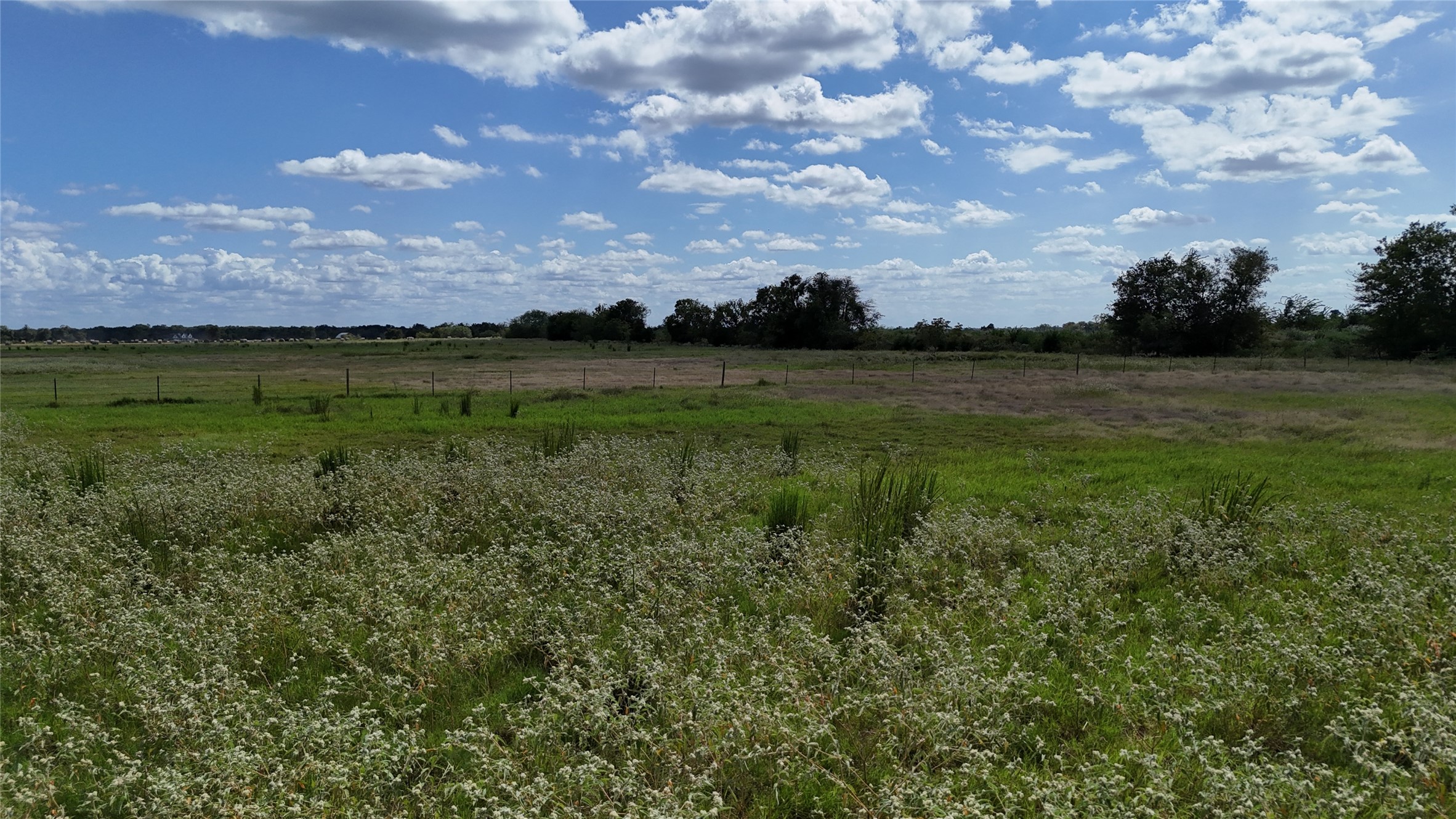 Tbd 20 Acres SE Cr 3150 Corsicana TX 75109