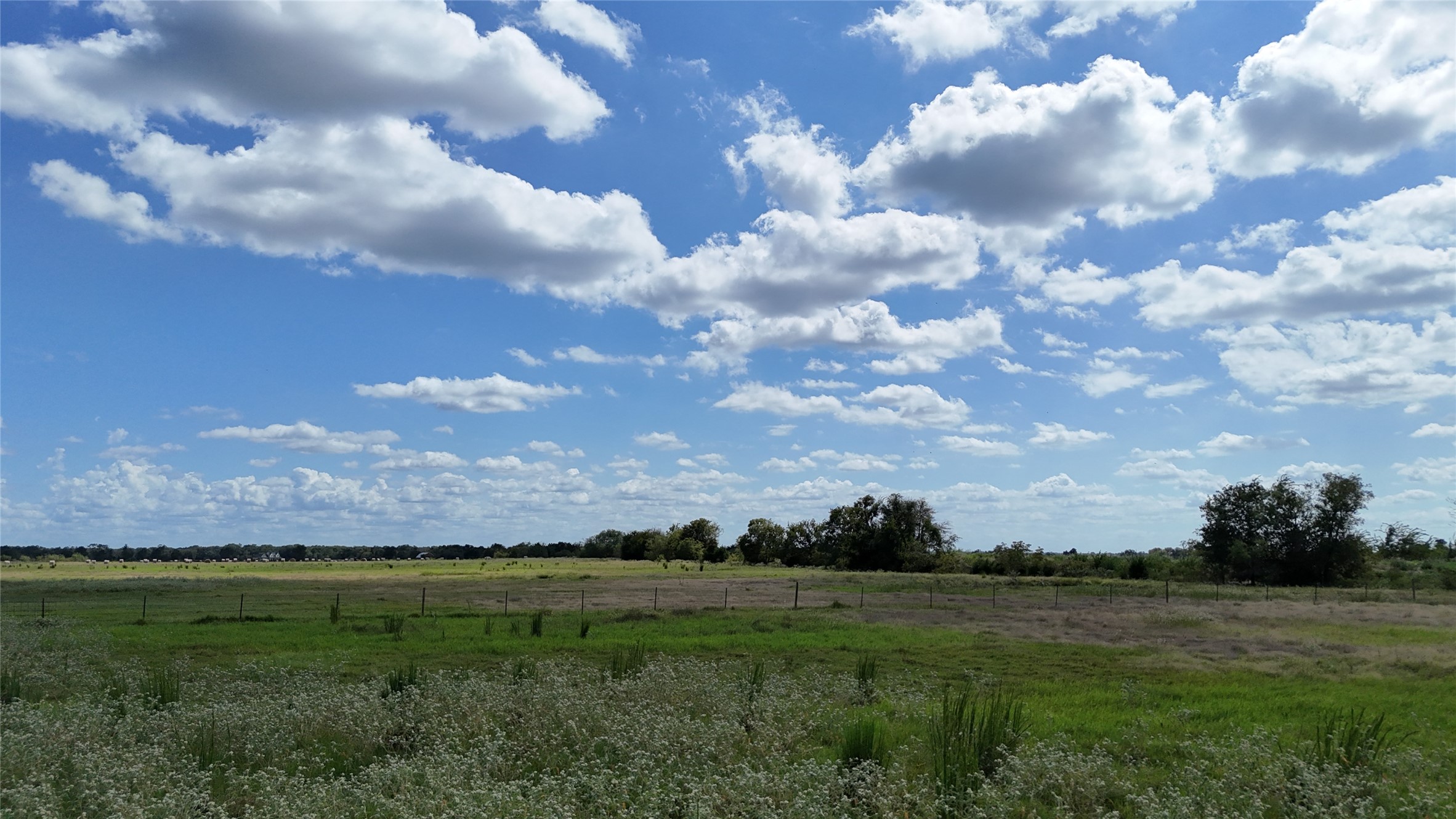 Tbd 20 Acres SE Cr 3150 Corsicana TX 75109