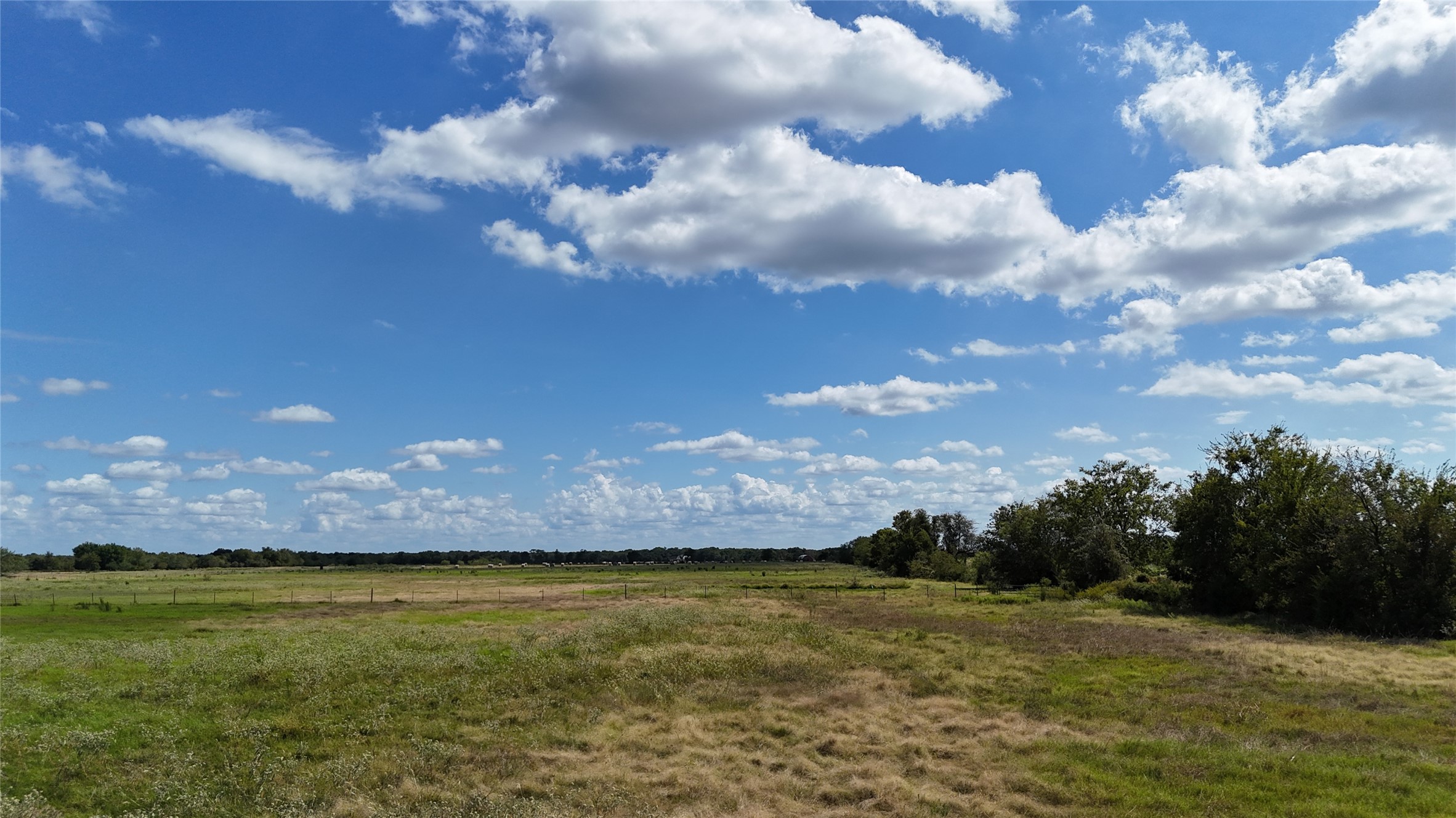 Tbd 20 Acres SE Cr 3150 Corsicana TX 75109