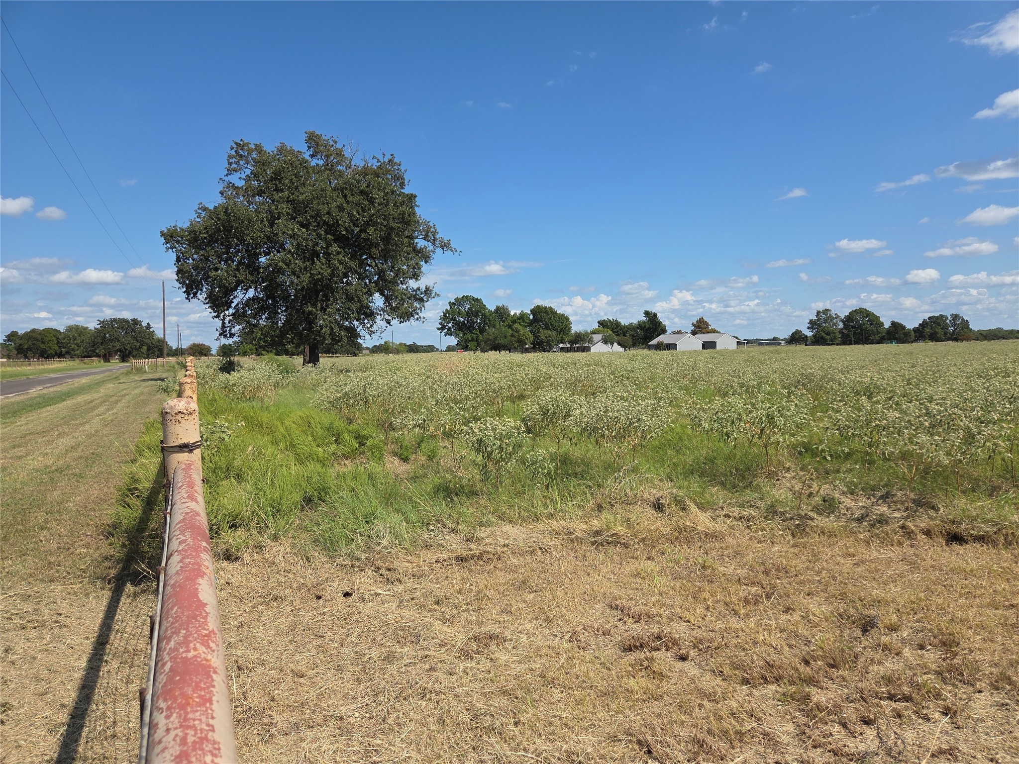 Tbd 20 Acres SE Cr 3150 Corsicana TX 75109