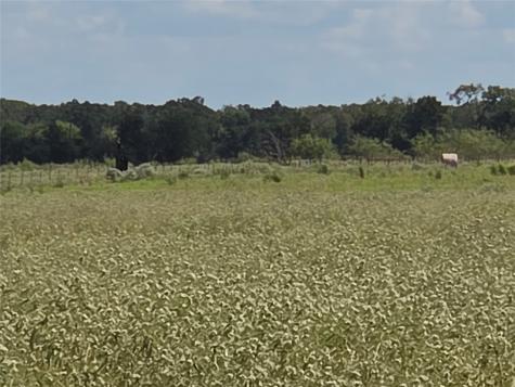 Tbd 20 Acres SE Cr 3150 Corsicana TX 75109