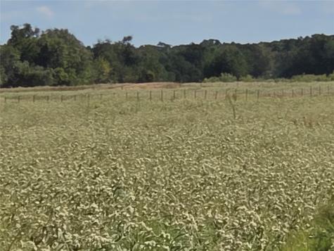 Tbd 20 Acres SE Cr 3150 Corsicana TX 75109
