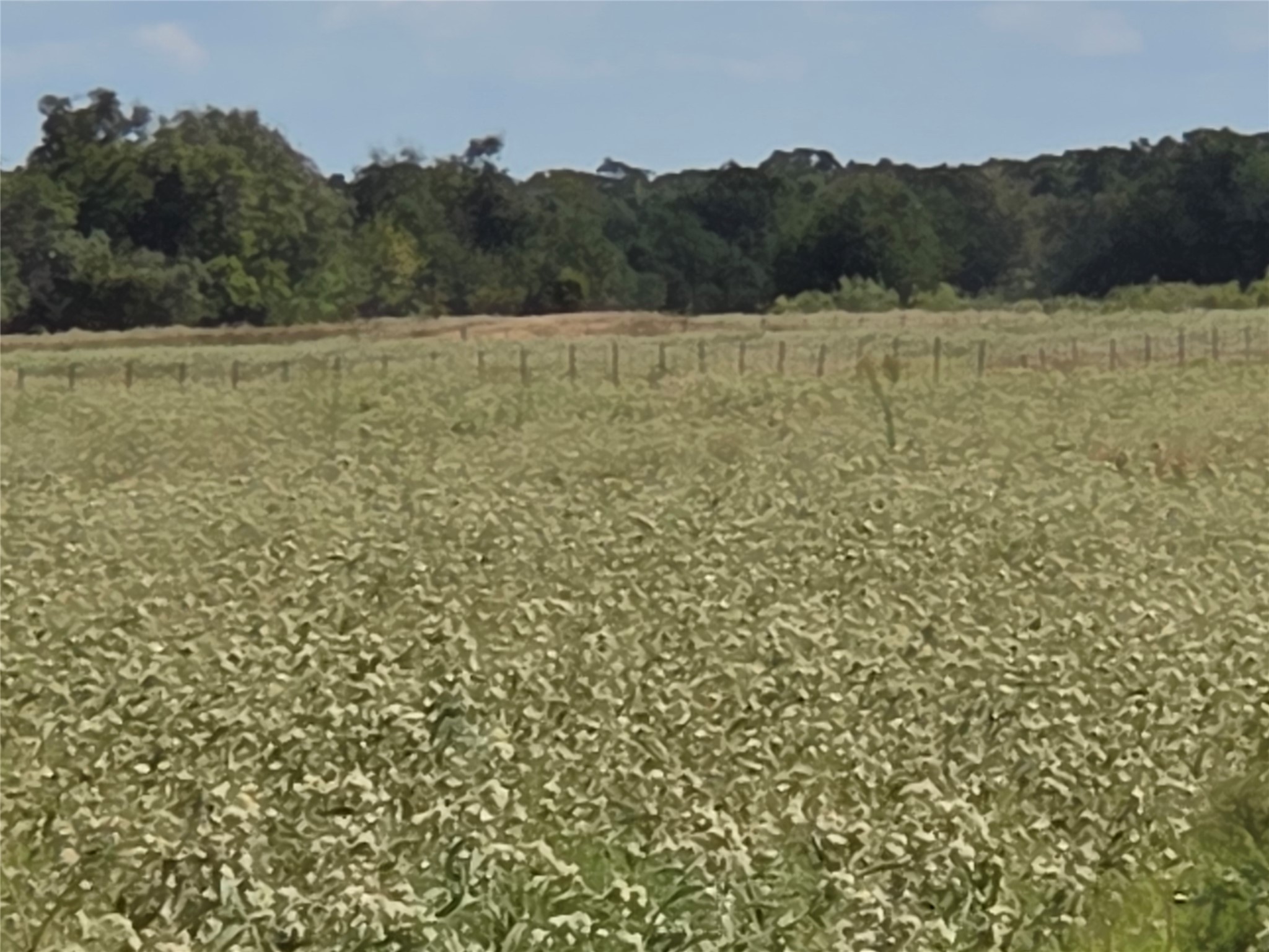 Tbd 20 Acres SE Cr 3150 Corsicana TX 75109