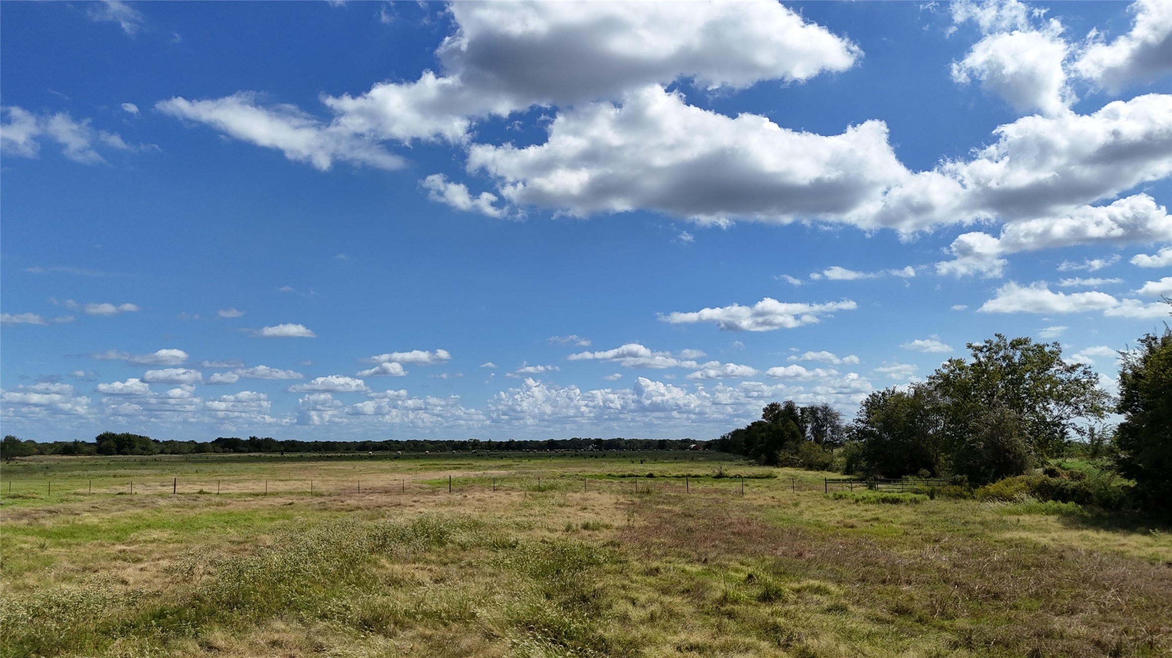 Tbd 20 Acres SE Cr 3150 Corsicana TX 75109