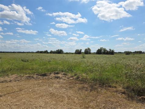 Tbd 20 Acres SE Cr 3150 Corsicana TX 75109