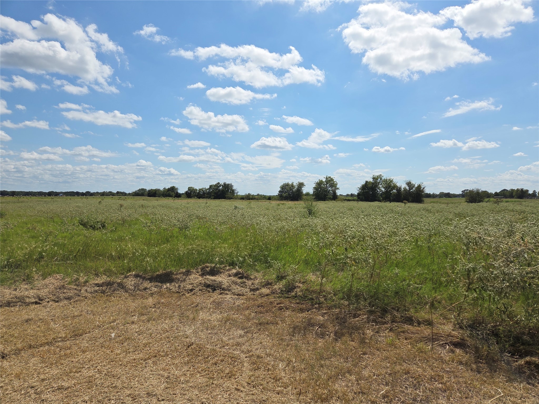 Tbd 20 Acres SE Cr 3150 Corsicana TX 75109