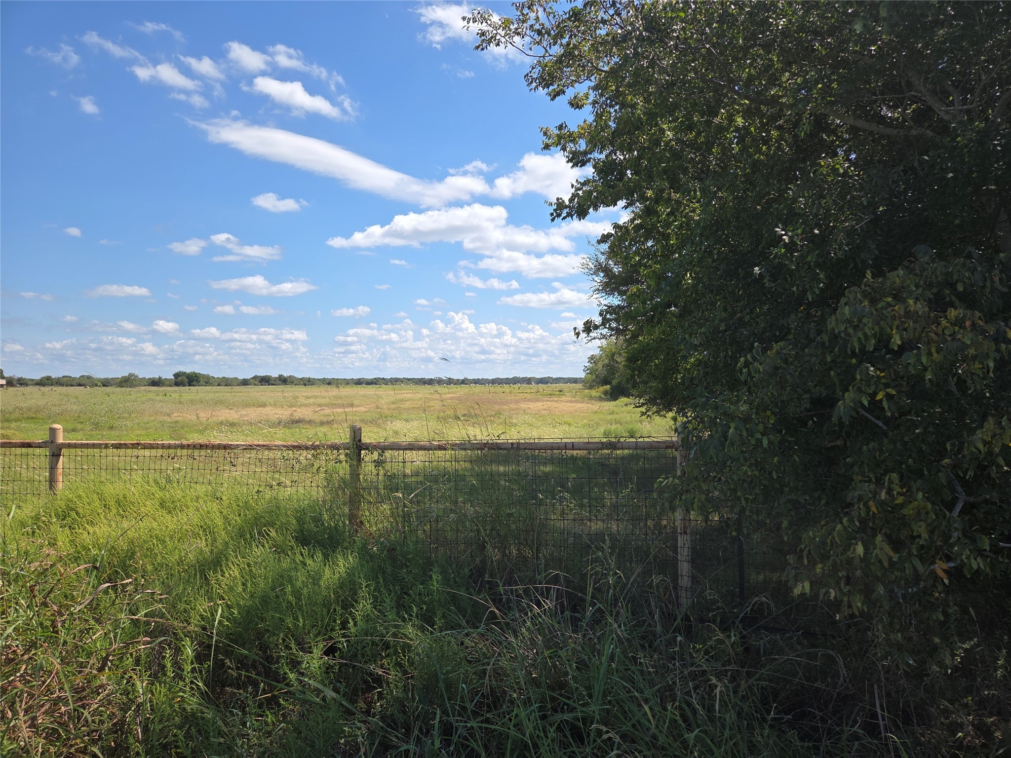 Tbd 20 Acres SE Cr 3150 Corsicana TX 75109