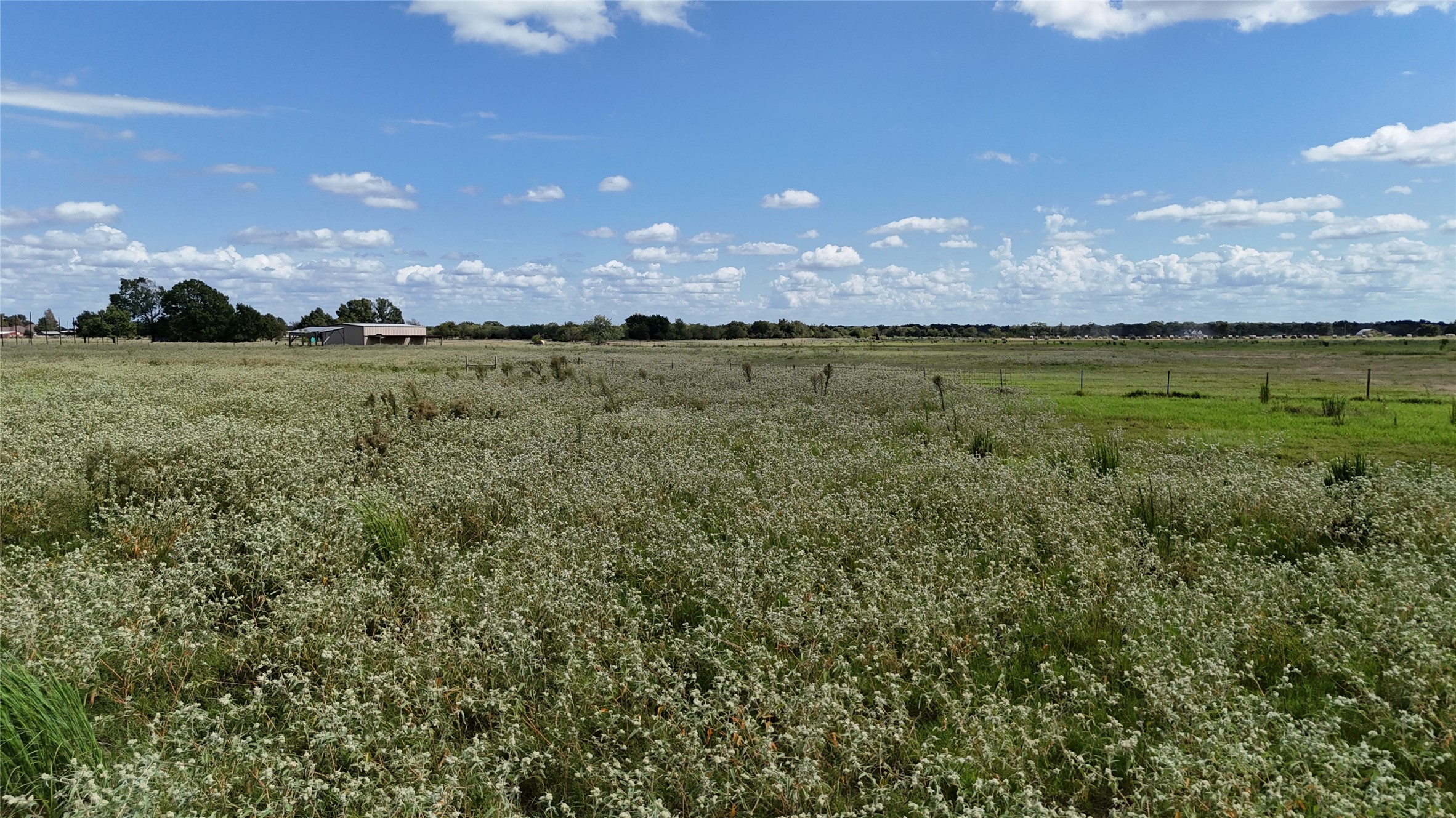 Tbd 20 Acres SE Cr 3150 Corsicana TX 75109