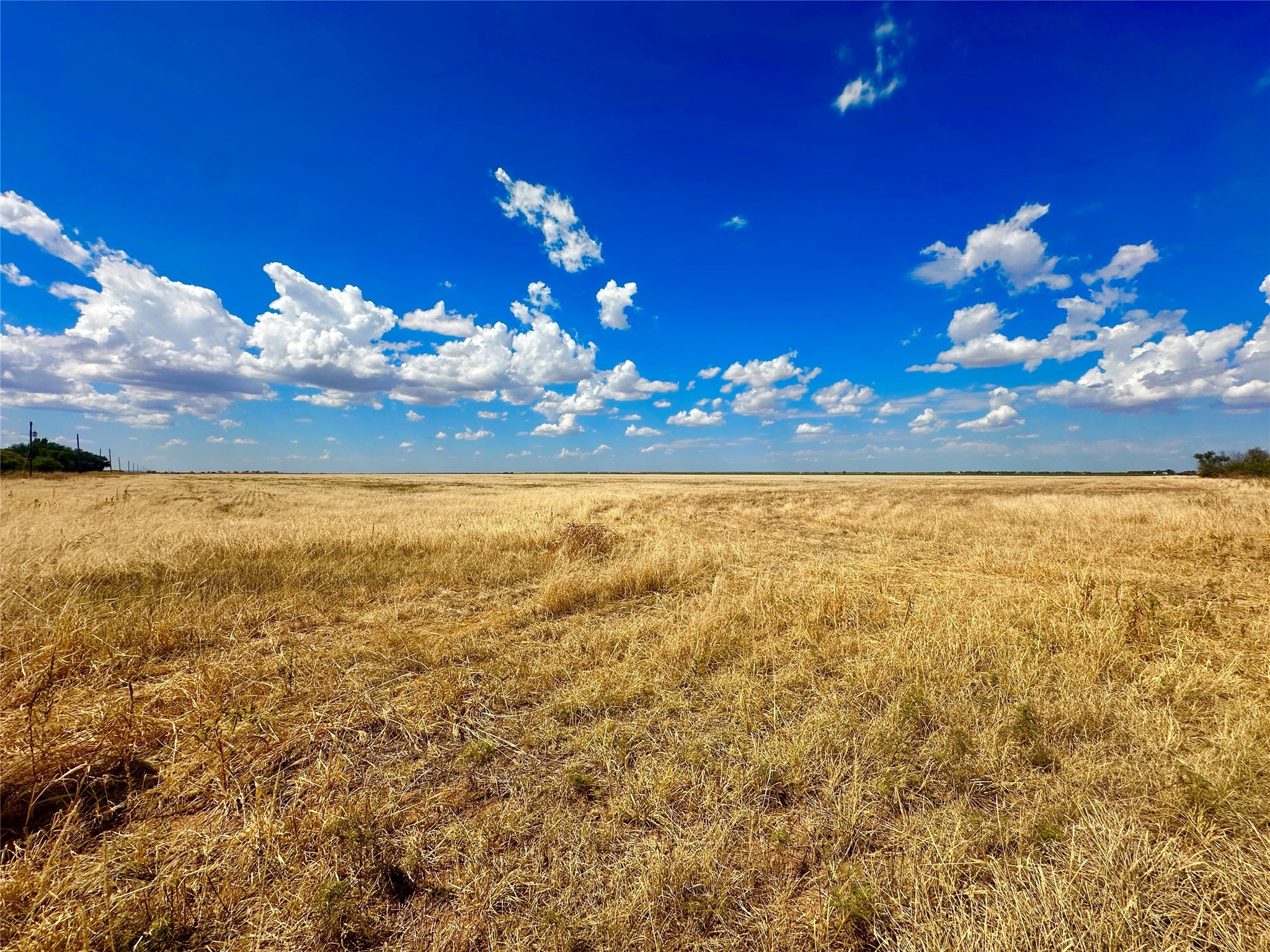 Tbd County Road 416 Merkel TX 79536