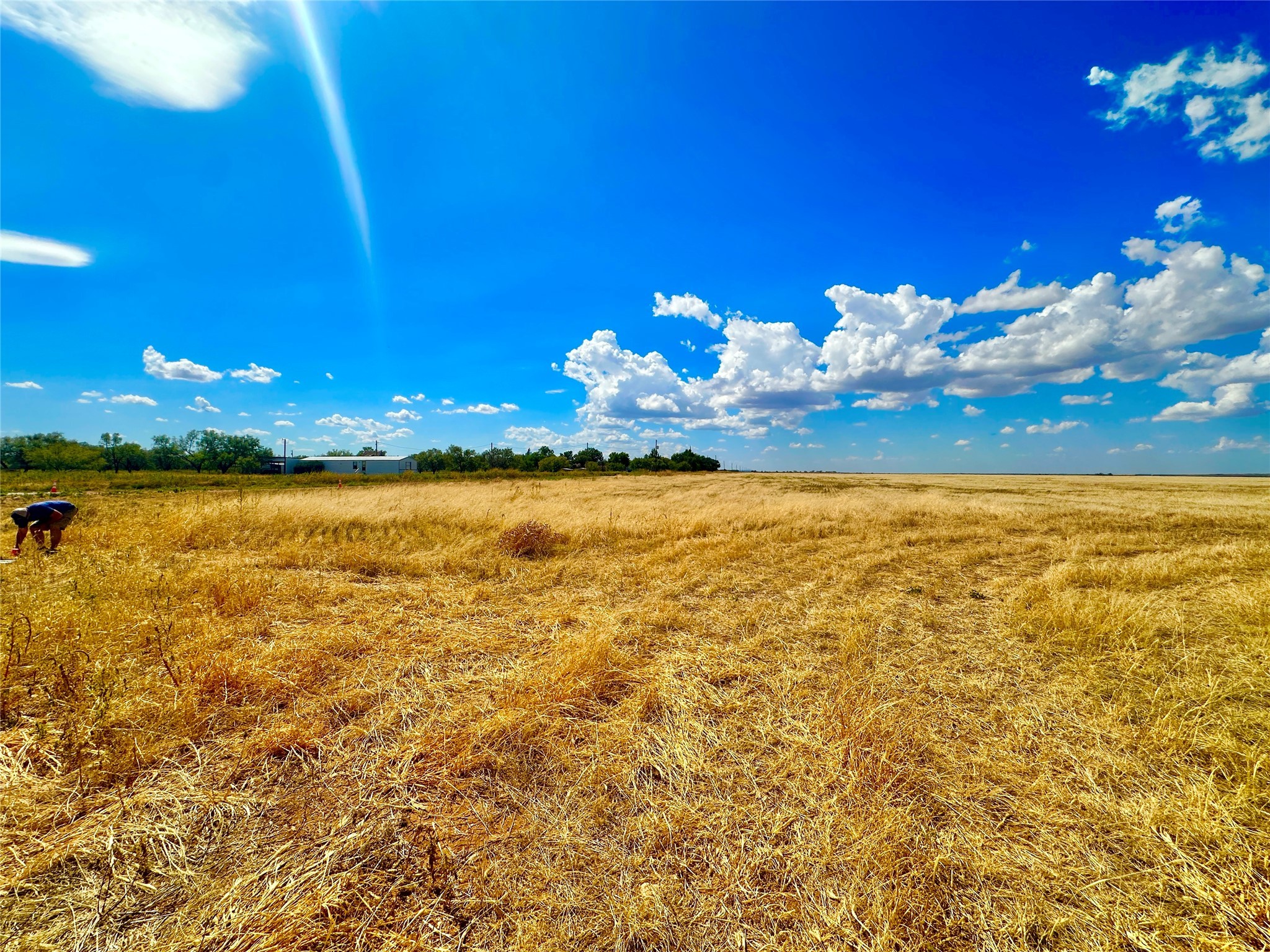 Tbd County Road 416 Merkel TX 79536