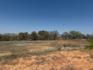 1179 Gonzollas Road Springtown TX 76082