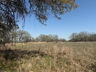 1179 Gonzollas Road Springtown TX 76082