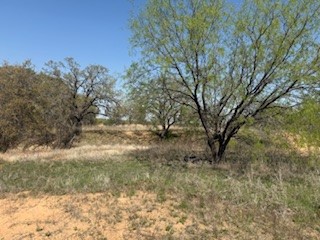 1179 Gonzollas Road Springtown TX 76082