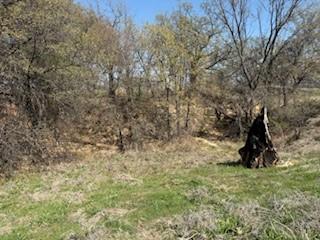 1179 Gonzollas Road Springtown TX 76082