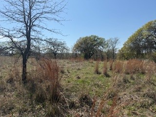 1179 Gonzollas Road Springtown TX 76082