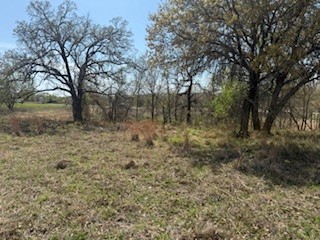 1179 Gonzollas Road Springtown TX 76082