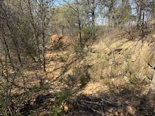 1179 Gonzollas Road Springtown TX 76082