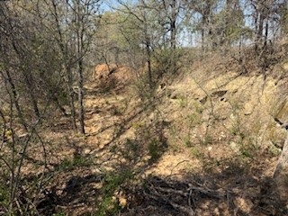 1179 Gonzollas Road Springtown TX 76082
