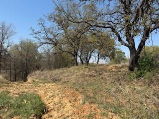 1179 Gonzollas Road Springtown TX 76082