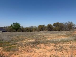1179 Gonzollas Road Springtown TX 76082