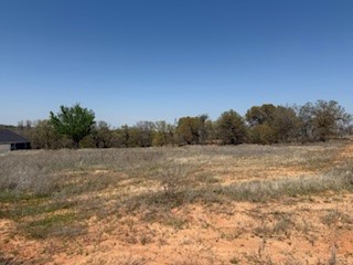 1179 Gonzollas Road Springtown TX 76082