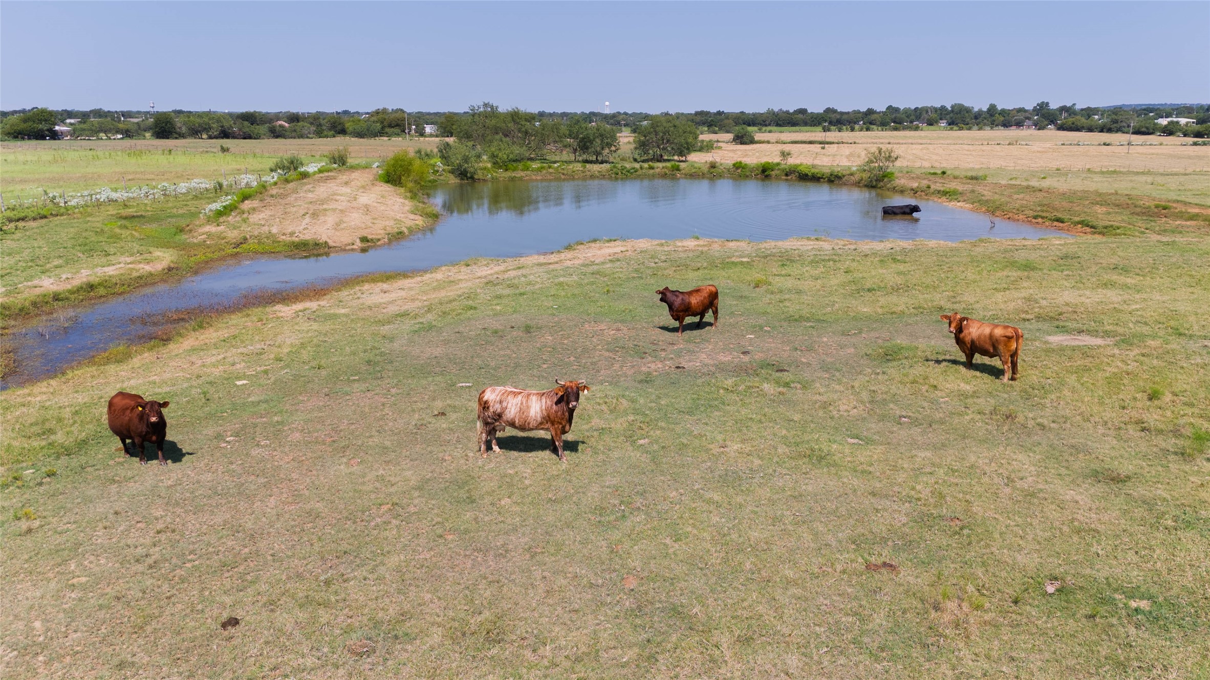 338 Hcr 2124 Loop Whitney TX 76692
