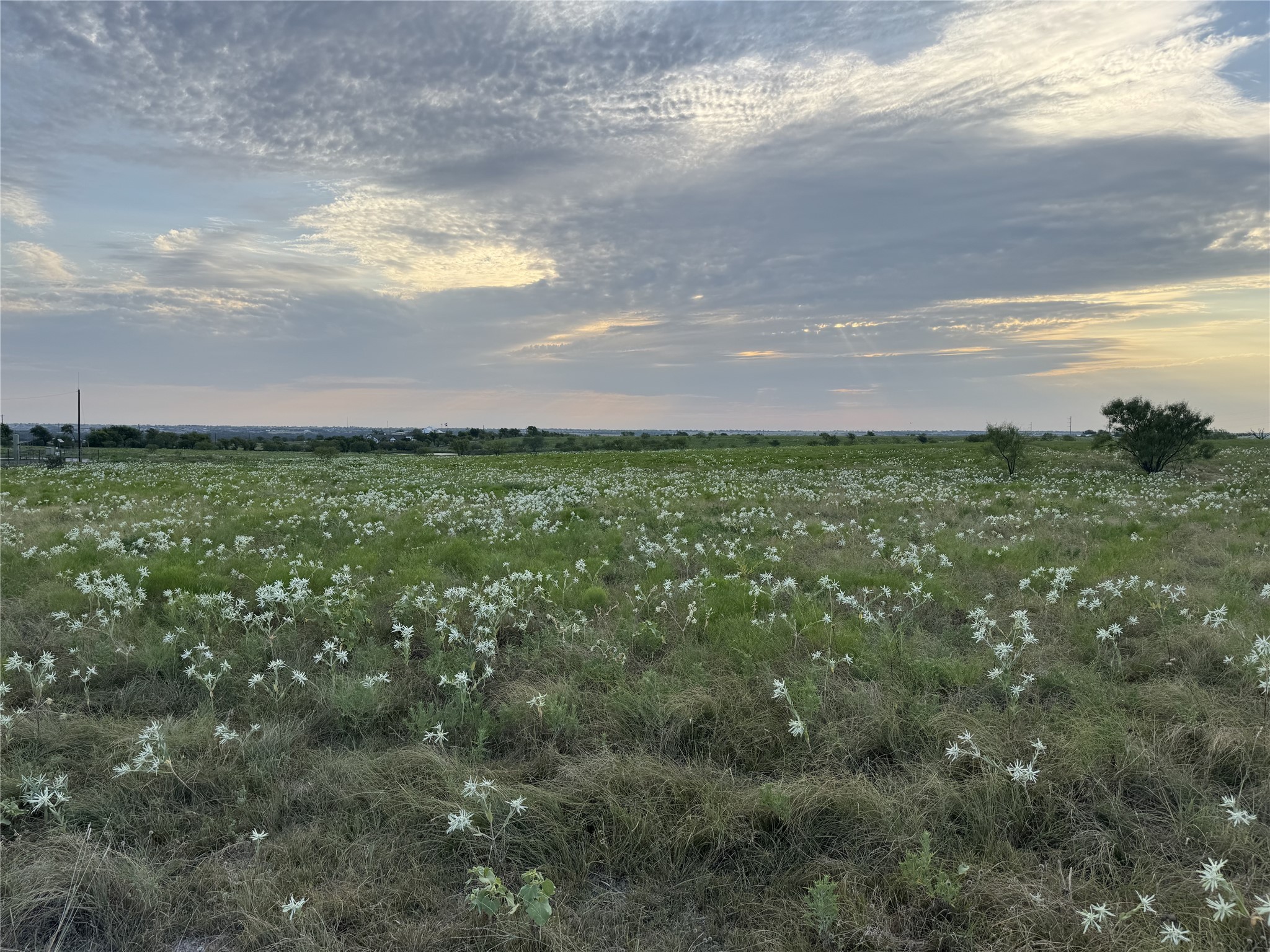 145 Private Road 4512 Decatur TX 76234