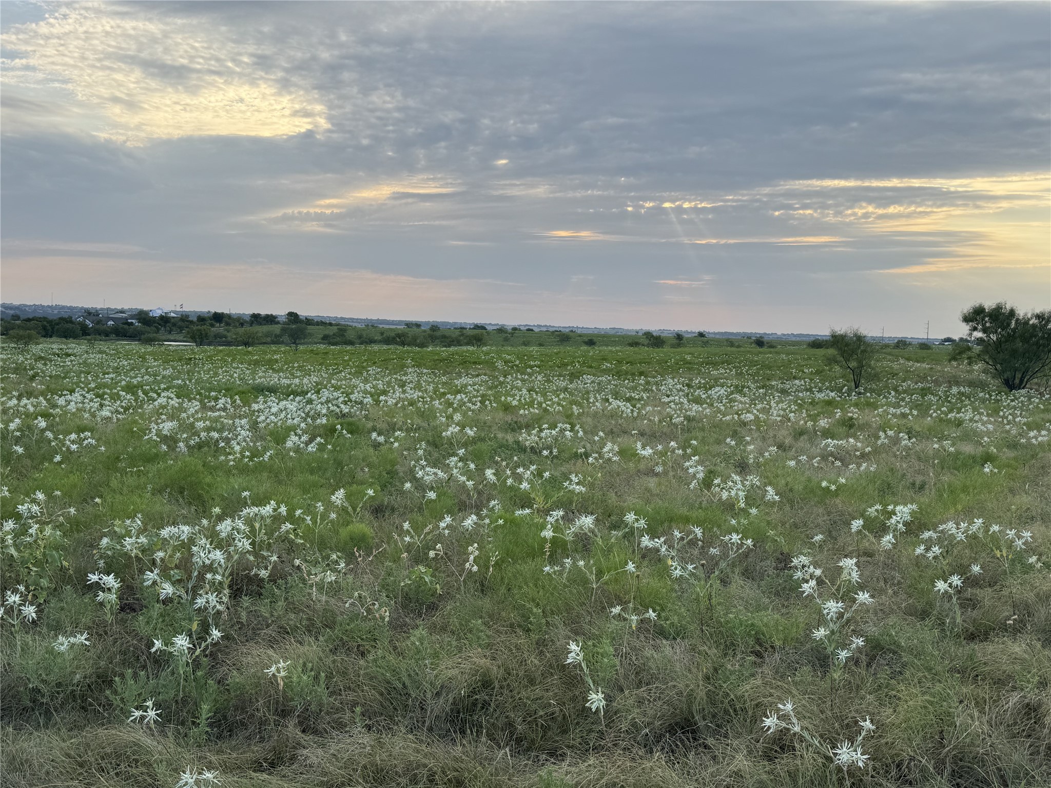 145 Private Road 4512 Decatur TX 76234
