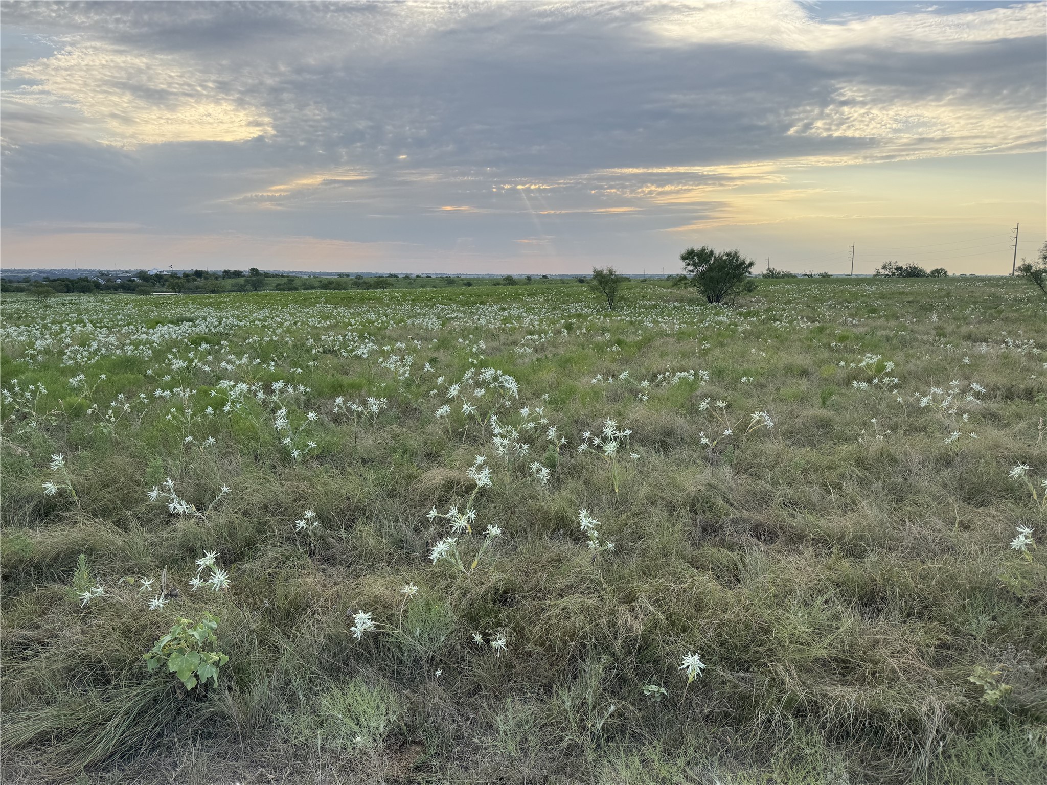 145 Private Road 4512 Decatur TX 76234