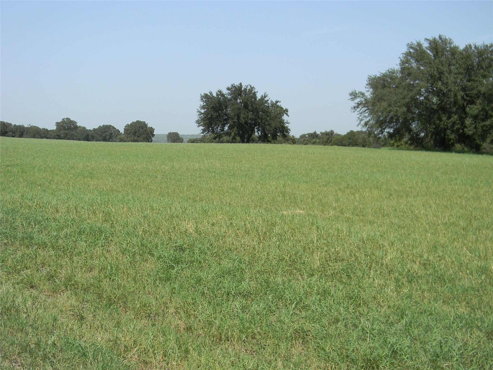 162 Pr 2162 Iredell TX 76649