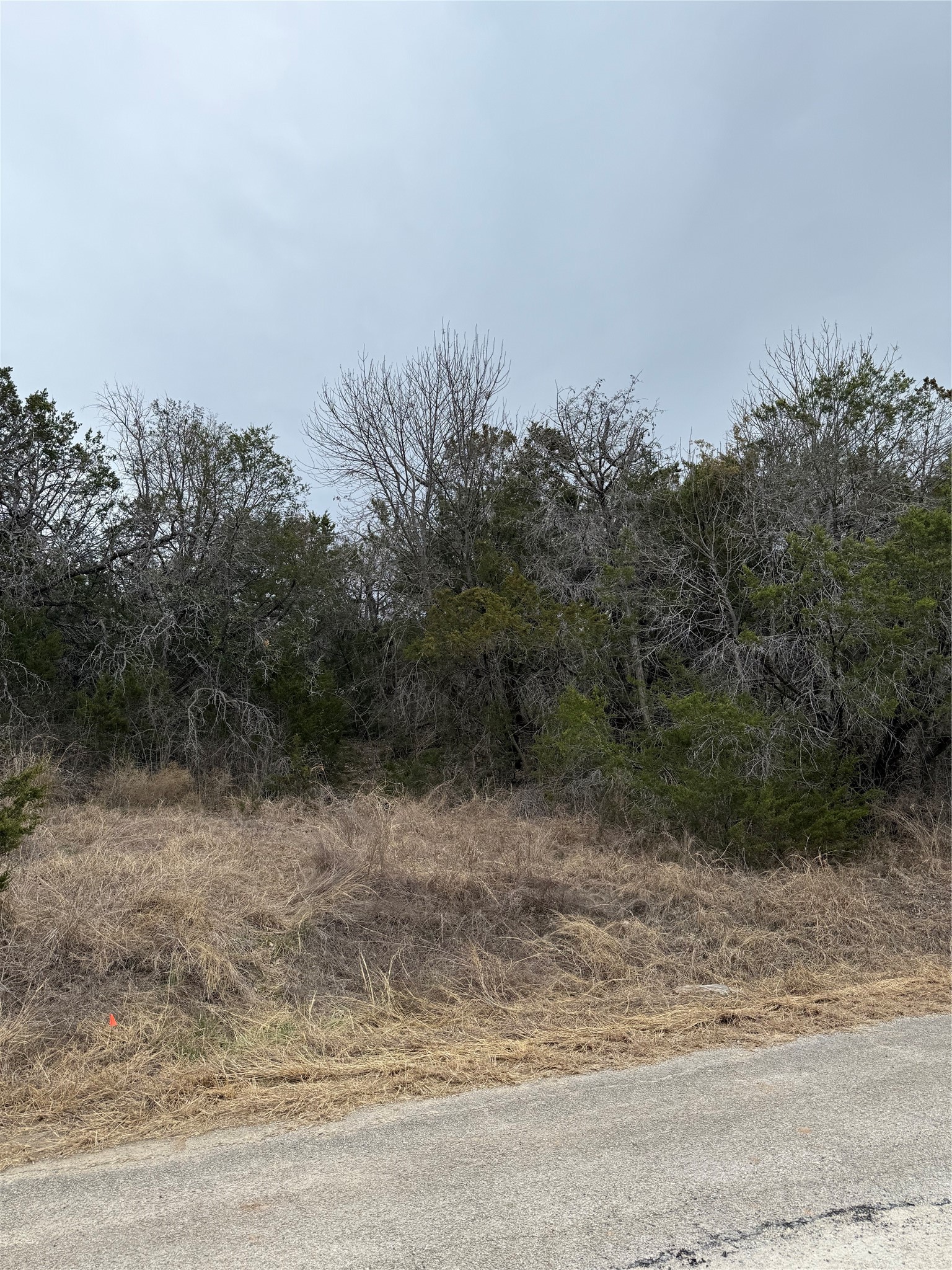 4611 Evening View Drive Granbury TX 76048