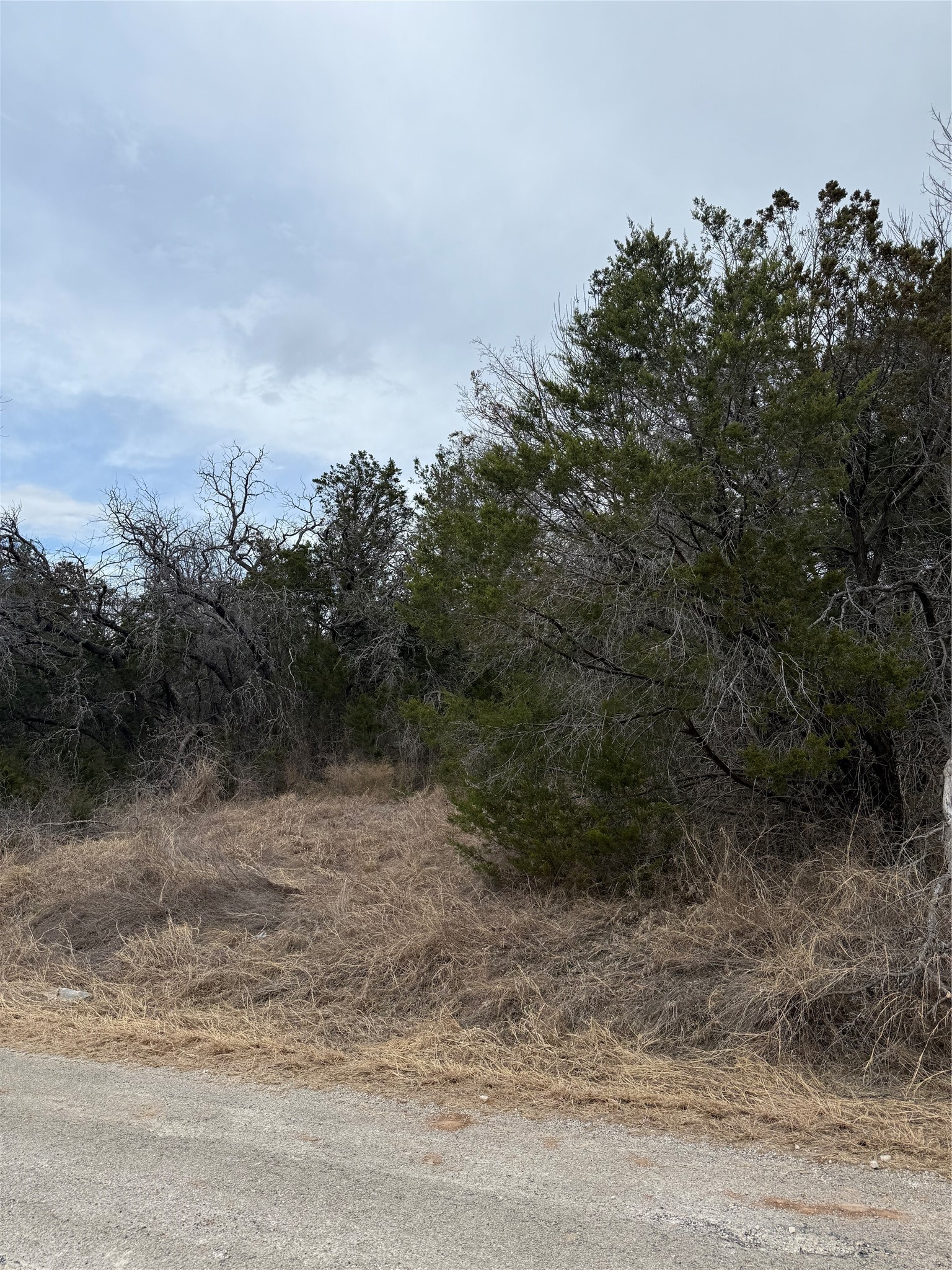 4611 Evening View Drive Granbury TX 76048