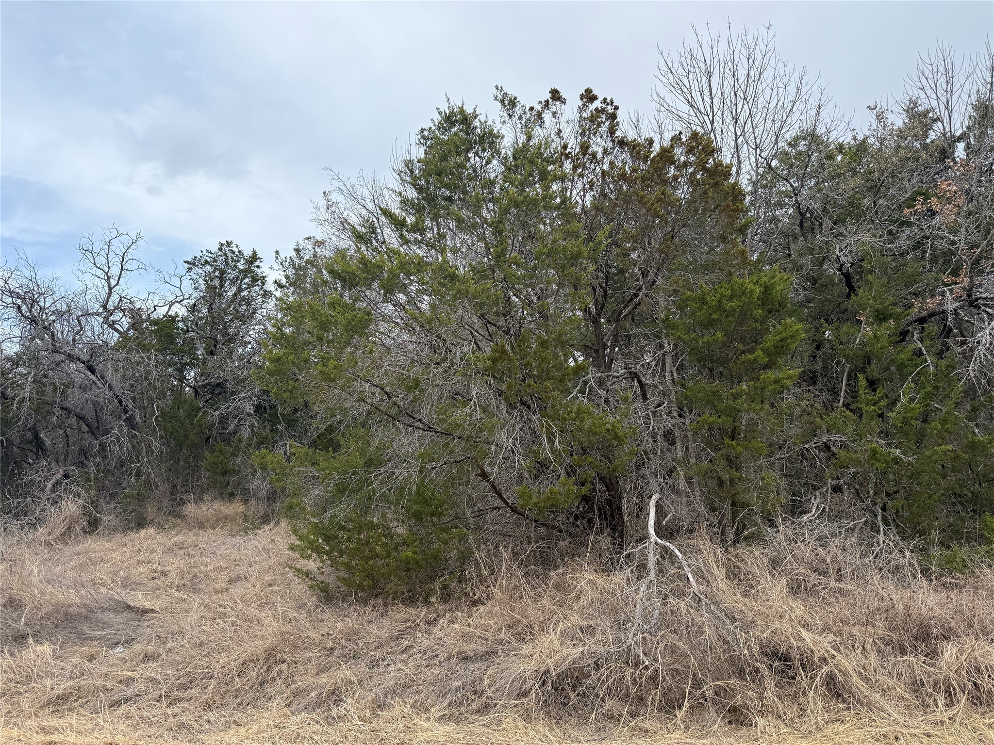 4611 Evening View Drive Granbury TX 76048
