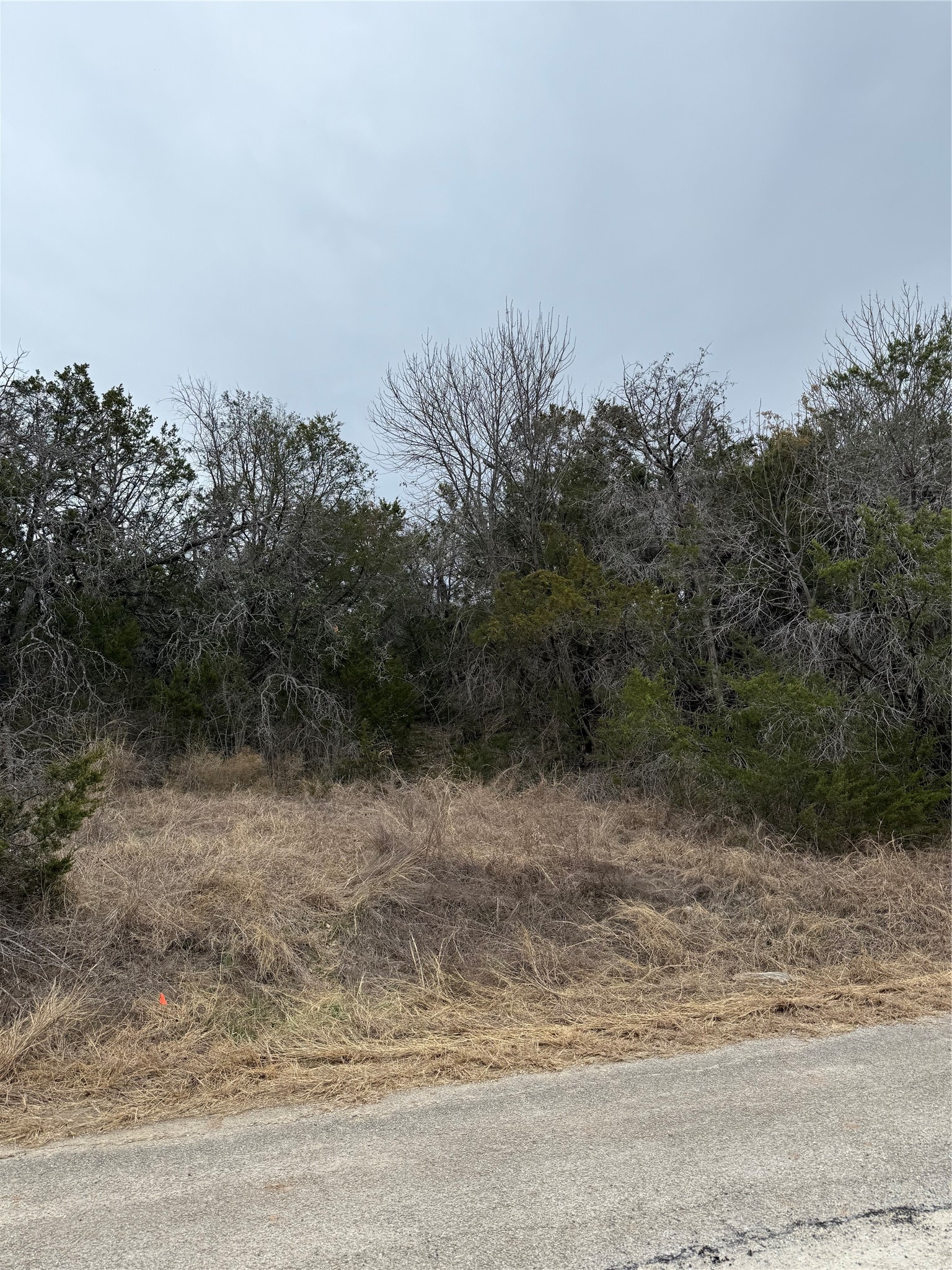 4611 Evening View Drive Granbury TX 76048