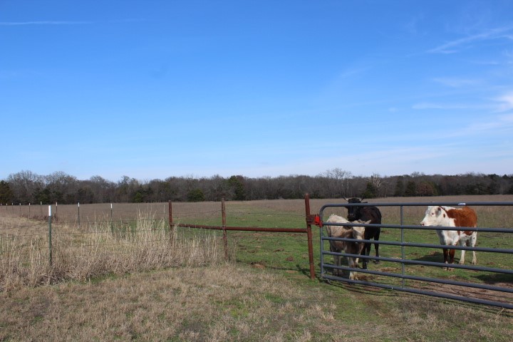 2488 Rs County Road 1525 Point TX 75472