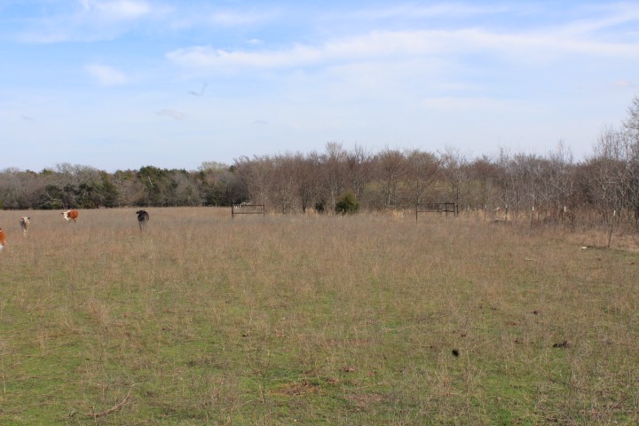 2488 Rs County Road 1525 Point TX 75472