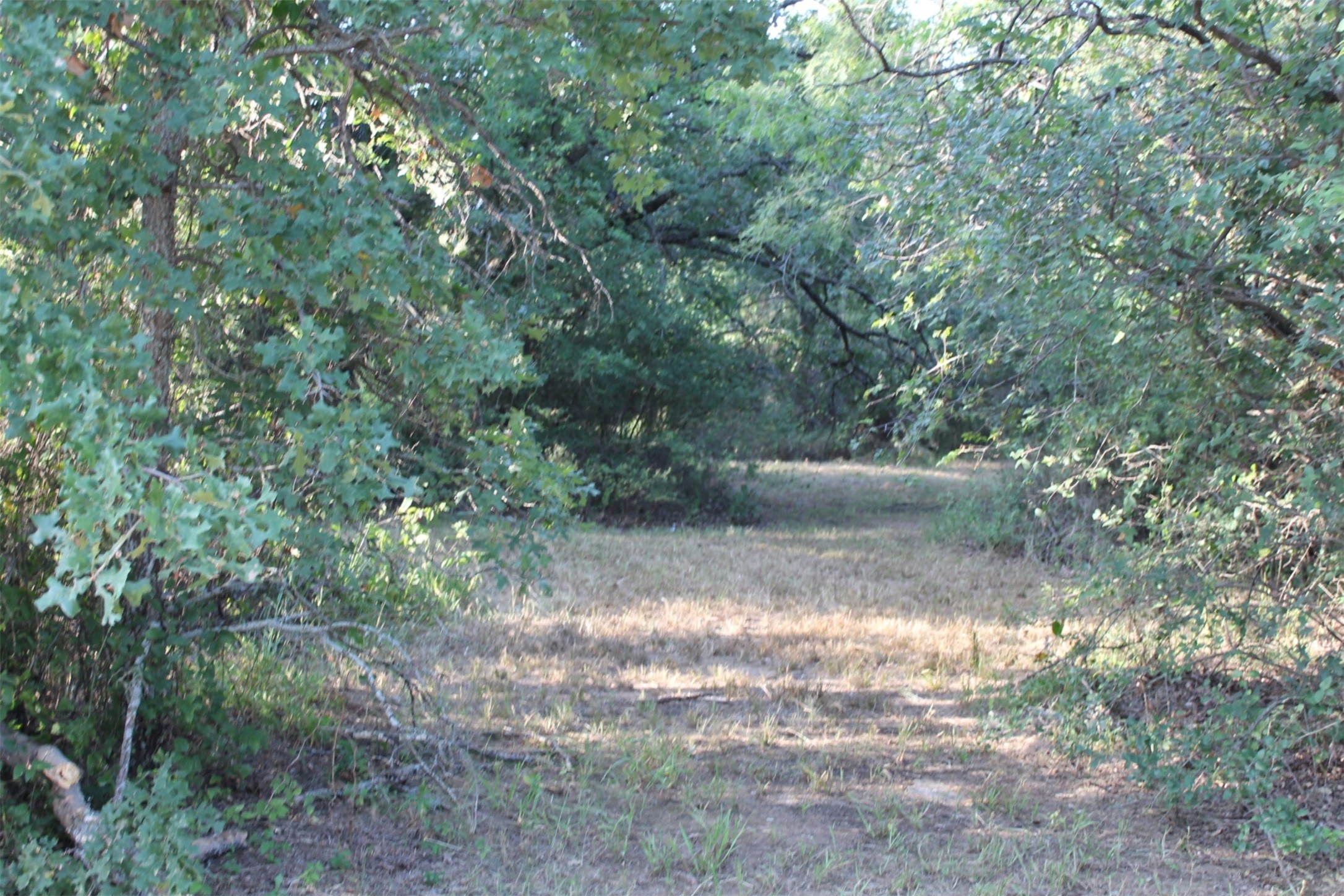Lot 4 Port O Call Drive Runaway Bay TX 76426