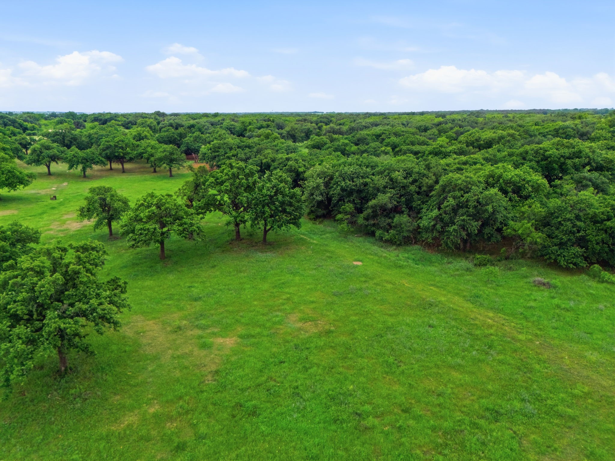 Tbd County Road 225 Rising Star TX 76471